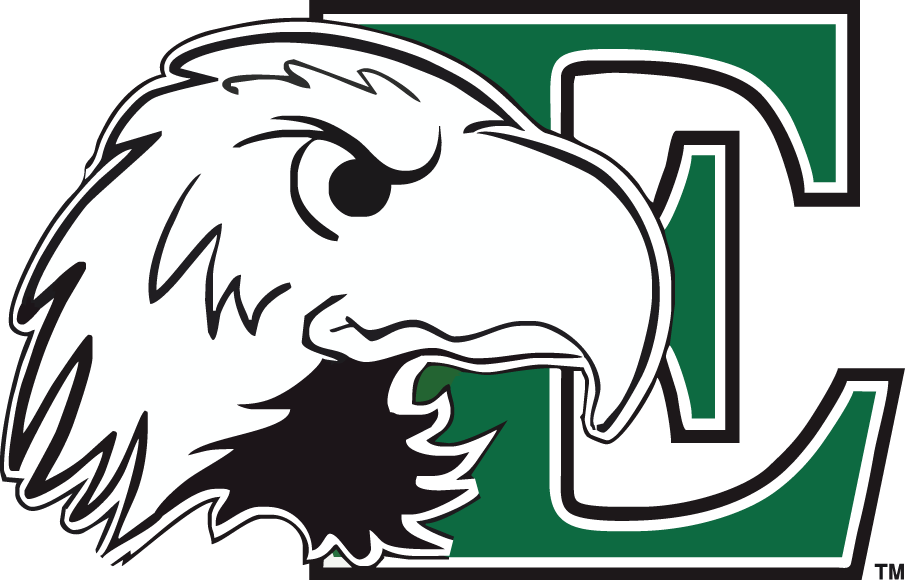 Eastern Michigan Eagles 2003-2012 Primary Logo diy fabric transfer